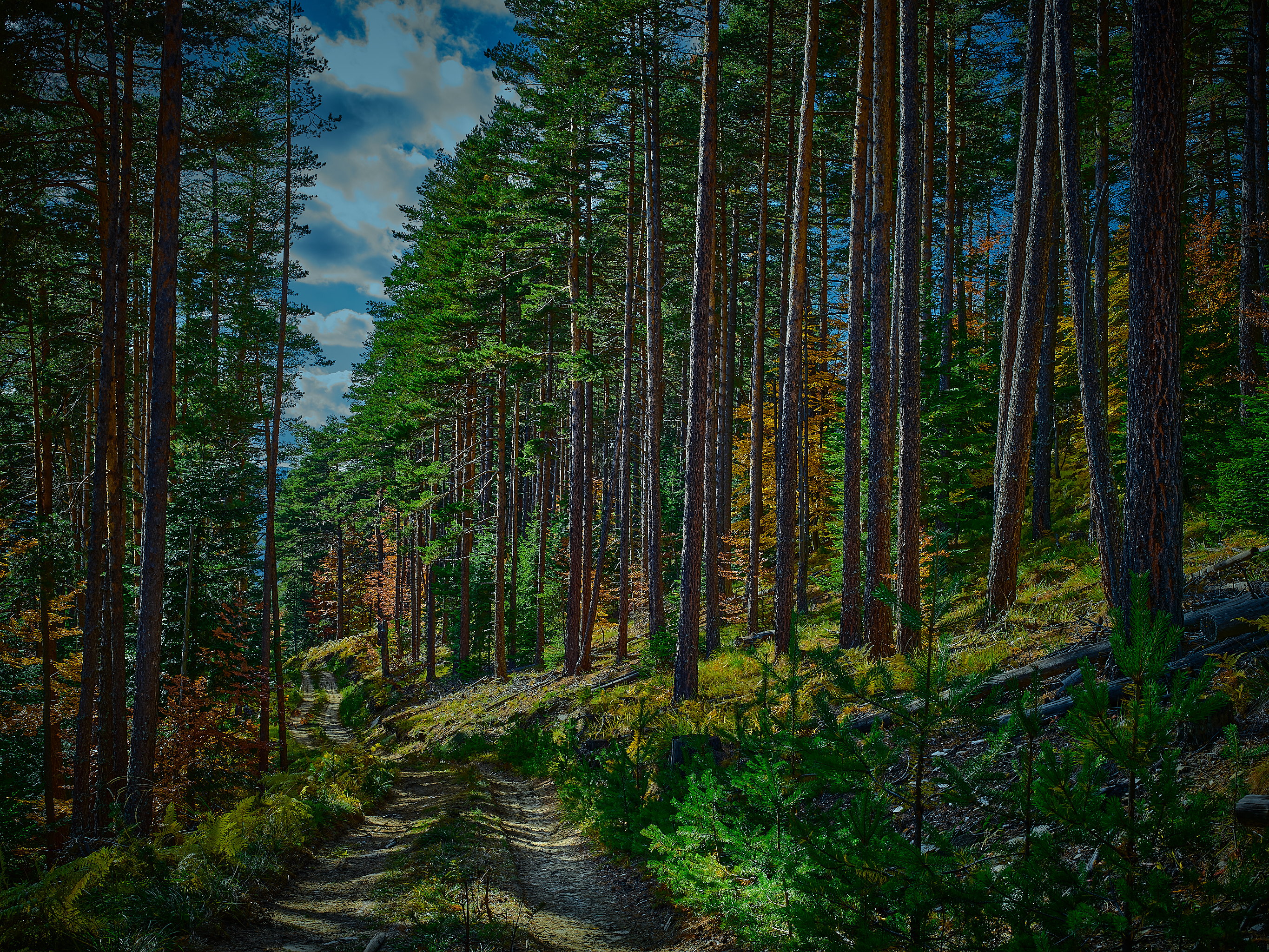 art image